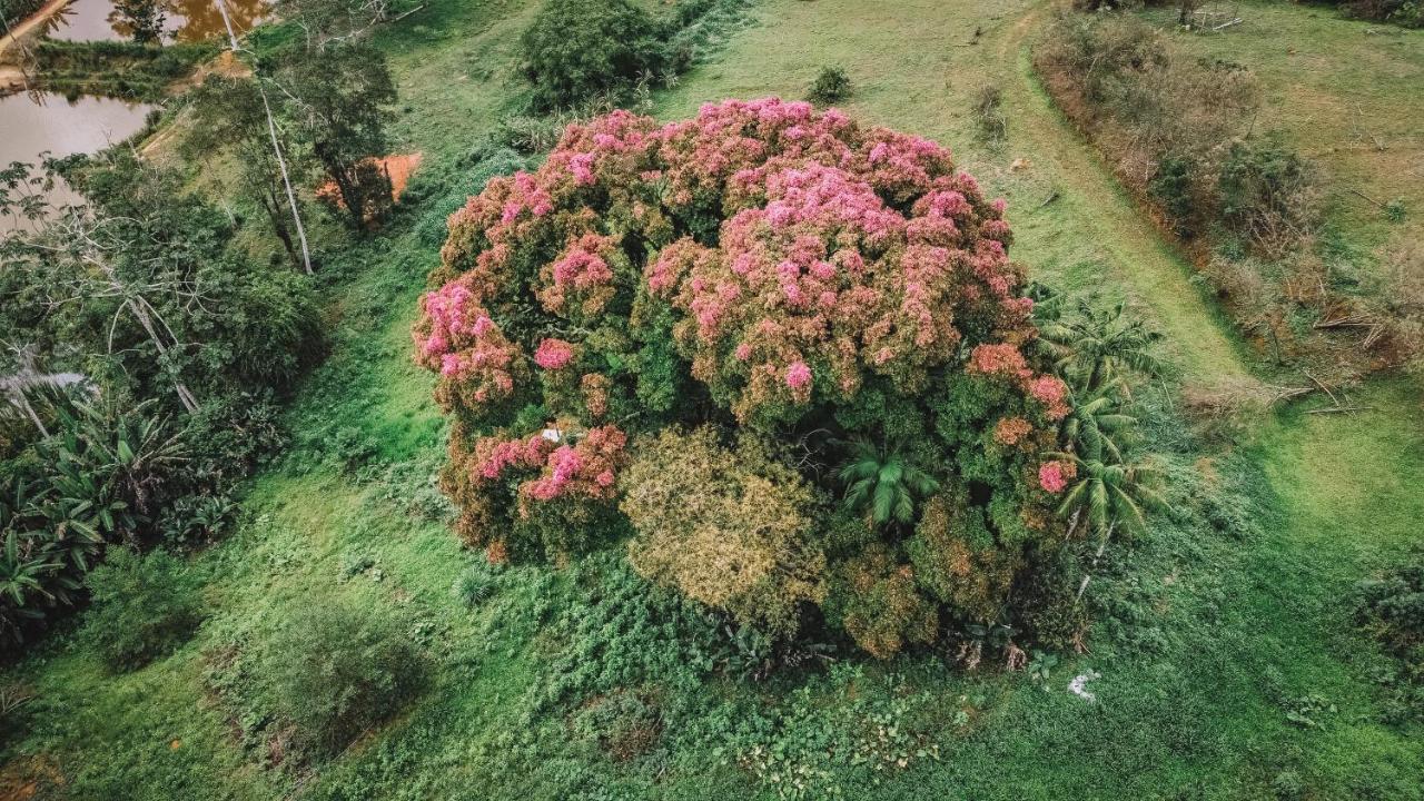 산타 테레사 Sitio Ancestrale - Melhor Lugar De Santa Teresa-Es 빌라 외부 사진