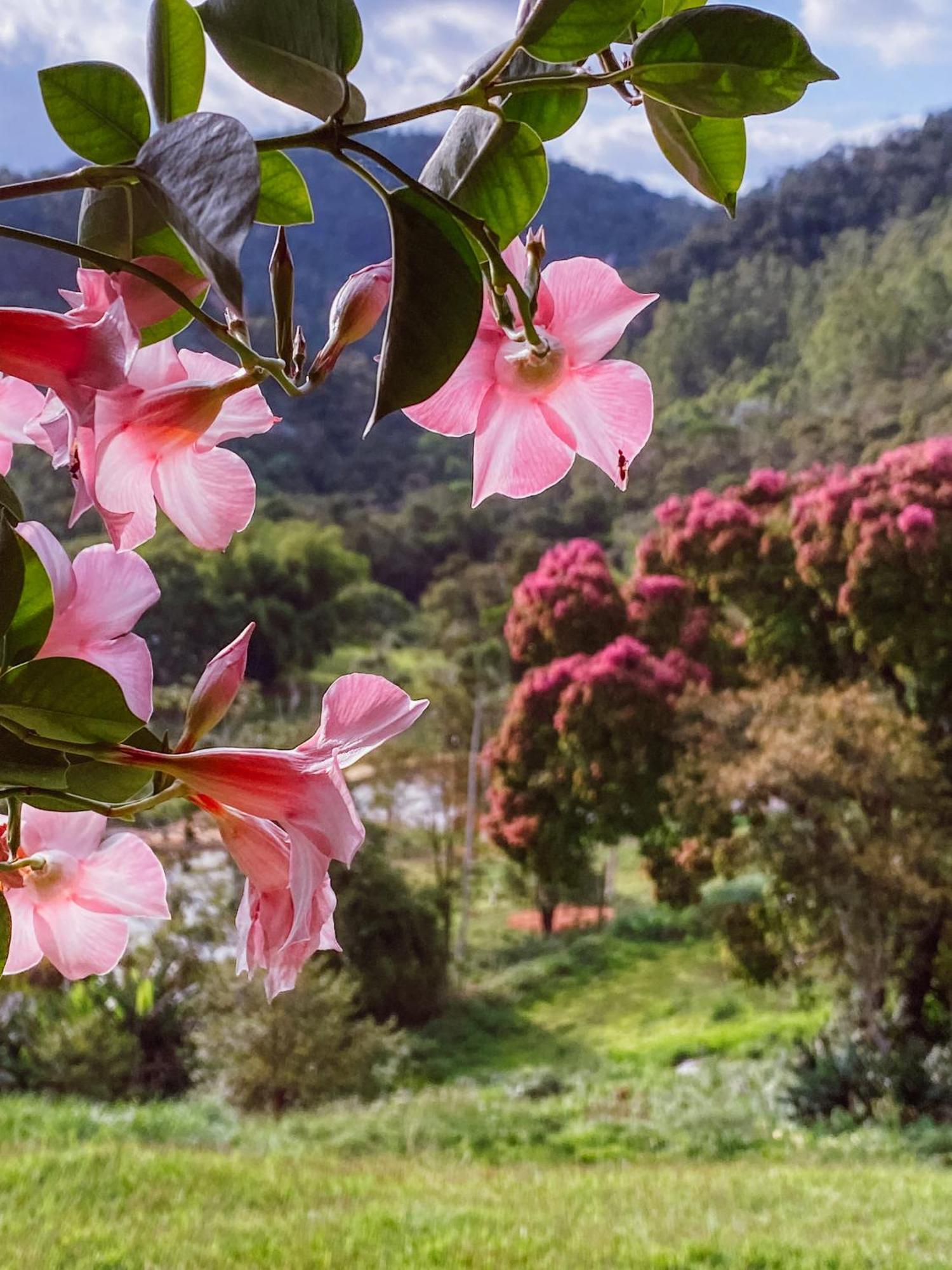 산타 테레사 Sitio Ancestrale - Melhor Lugar De Santa Teresa-Es 빌라 외부 사진